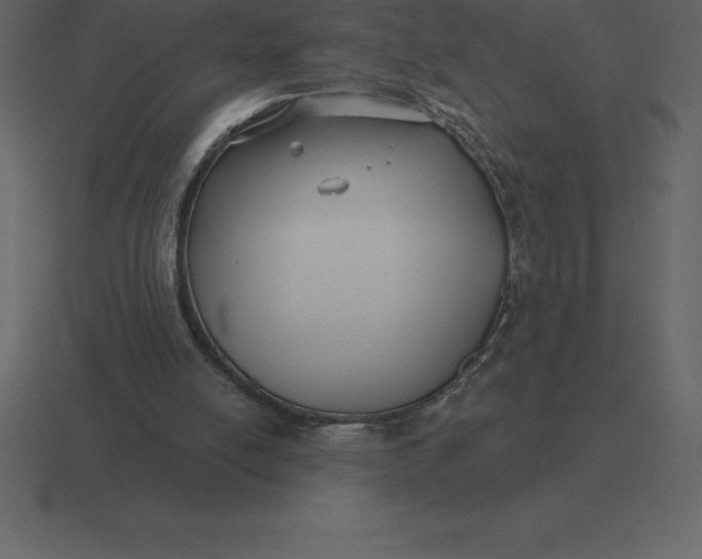 X0000116630054200912241820