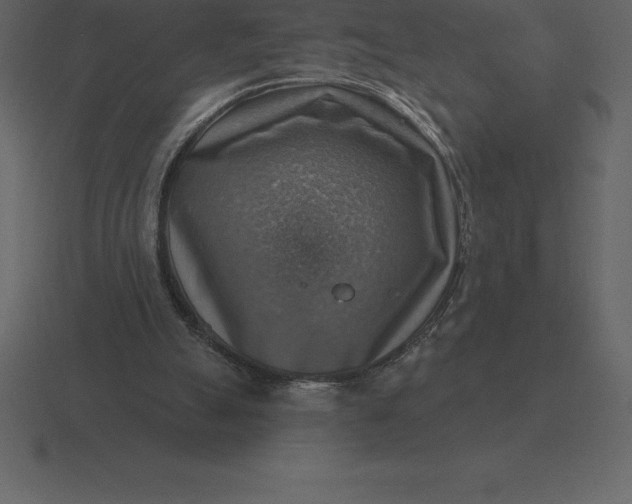 X0000116630055200912241820