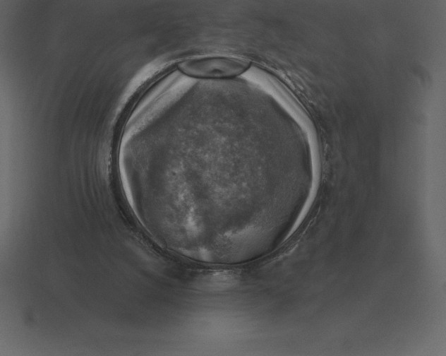 X0000116630056200912241820