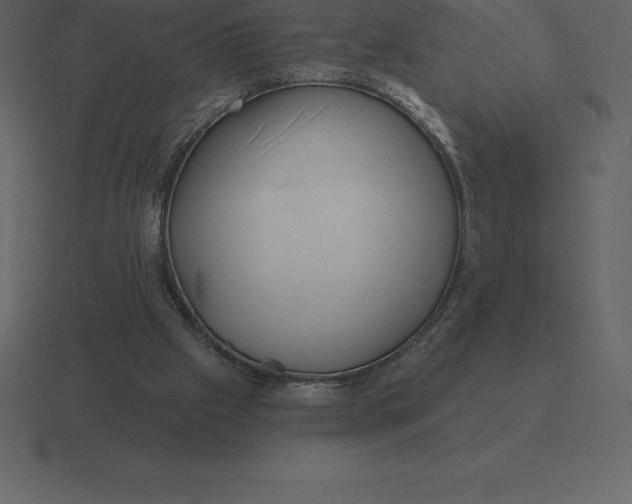 X0000116630057200912241820