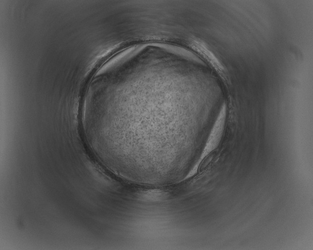 X0000116630058200912241820