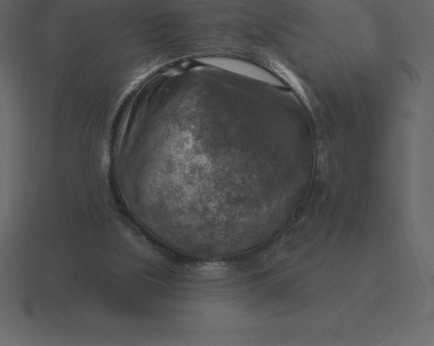 X0000116630059200912241820