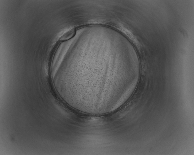 X0000116630060200912241820