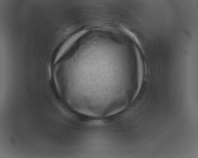 X0000116630061200912241820