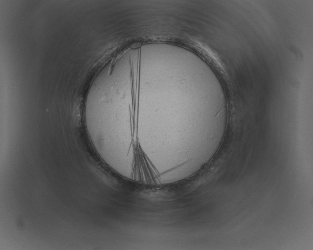 X0000116630065200912241820