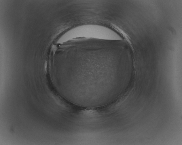 X0000116630067200912241820