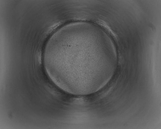 X0000116630068200912241820