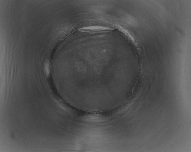 X0000116630069200912241820