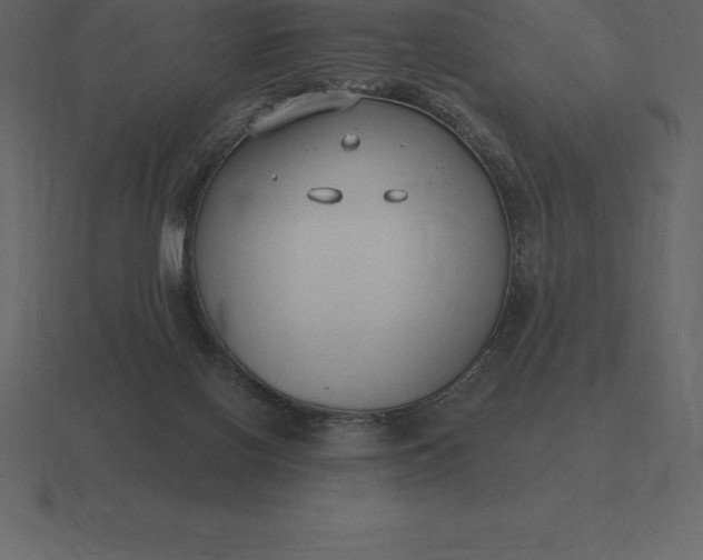 X0000116630070200912241820