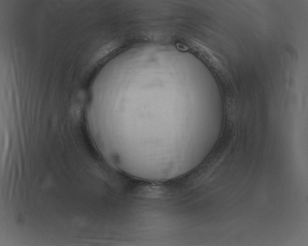 X0000116630071200912241820