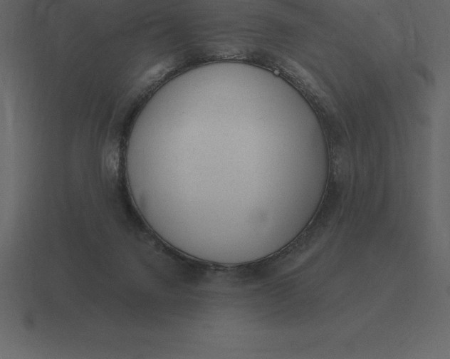 X0000116630072200912241820