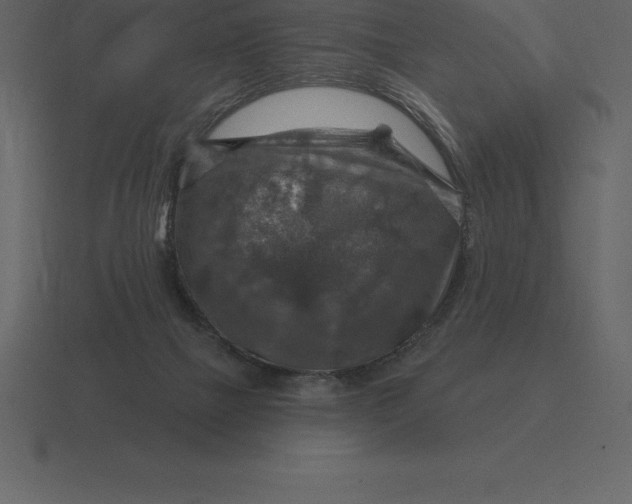 X0000116630073200912241820