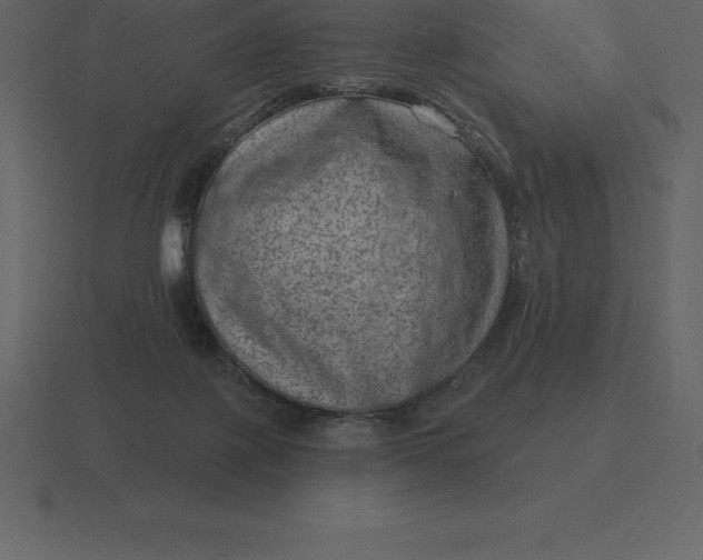 X0000116630075200912241820