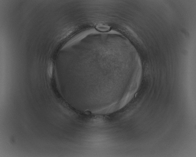 X0000116630076200912241820