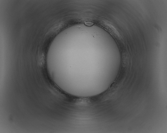 X0000116630077200912241820