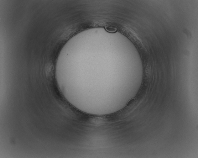 X0000116630079200912241820