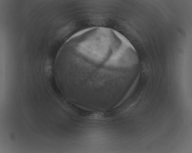 X0000116630080200912241820