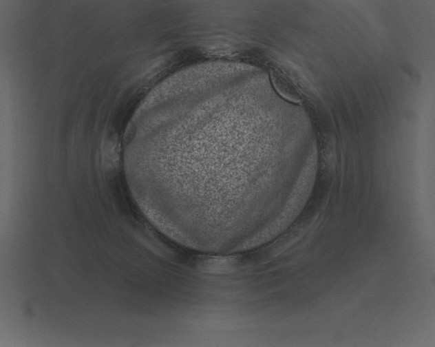 X0000116630081200912241820