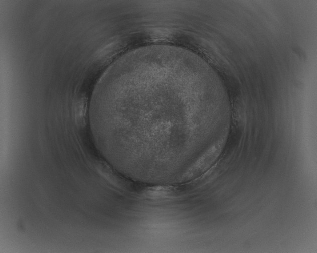 X0000116630082200912241820