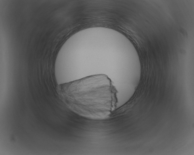 X0000116630085200912241820