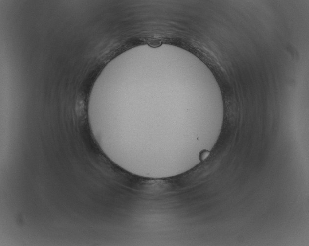 X0000116630087200912241821