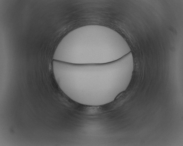 X0000116630089200912241821