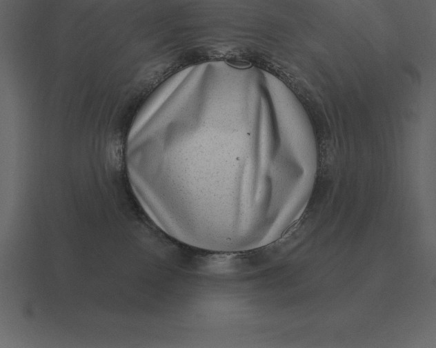 X0000116630090200912241821