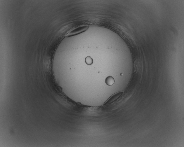 X0000116630092200912241821