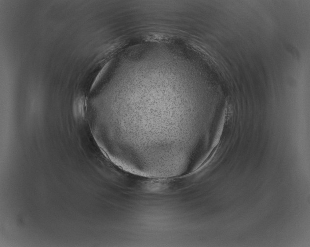 X0000116630094200912241821