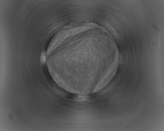 X0000116630095200912241821