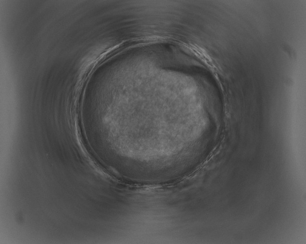 X0000116630097200912241820