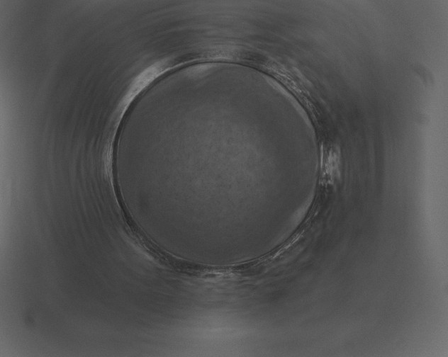 X0000116630099200912241820