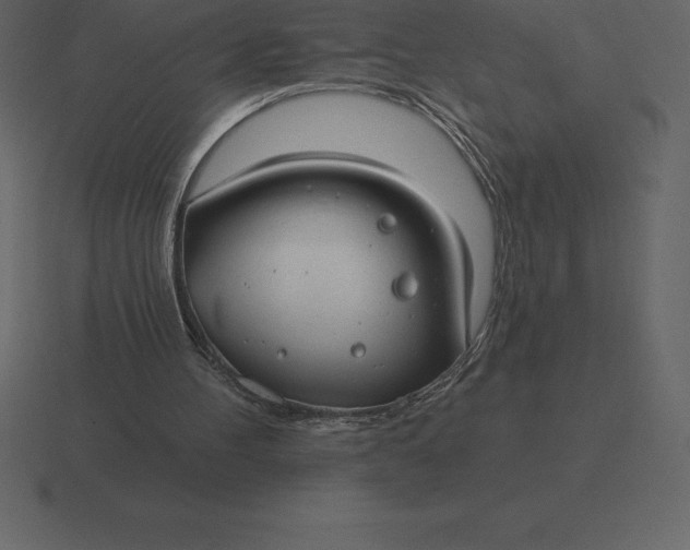 X0000116630100200912241820