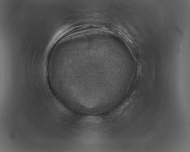 X0000116630101200912241820