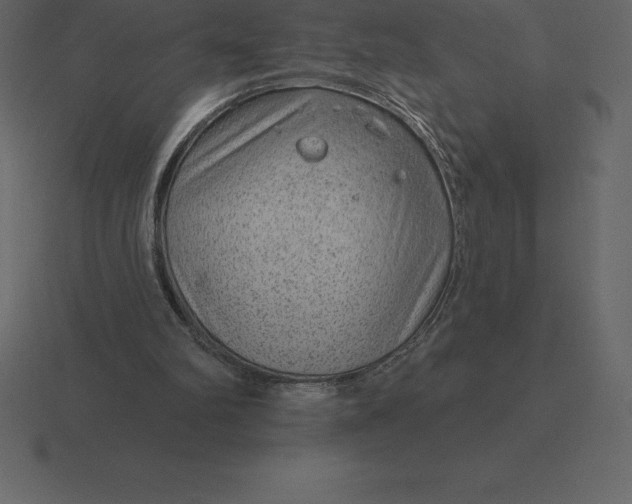 X0000116630102200912241820