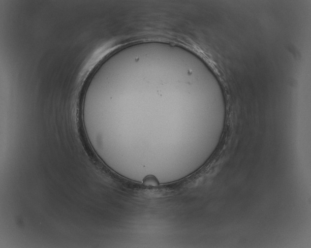 X0000116630103200912241820