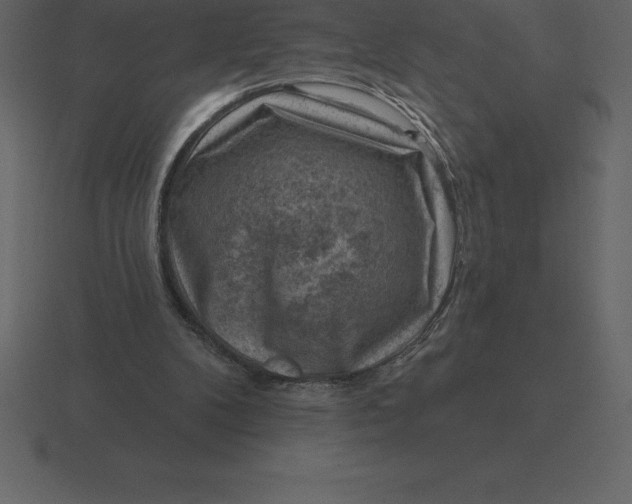 X0000116630104200912241820