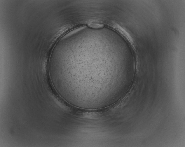 X0000116630105200912241820