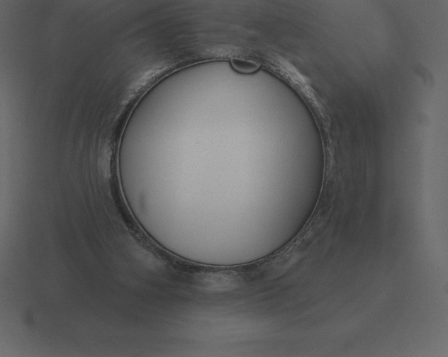 X0000116630106200912241820