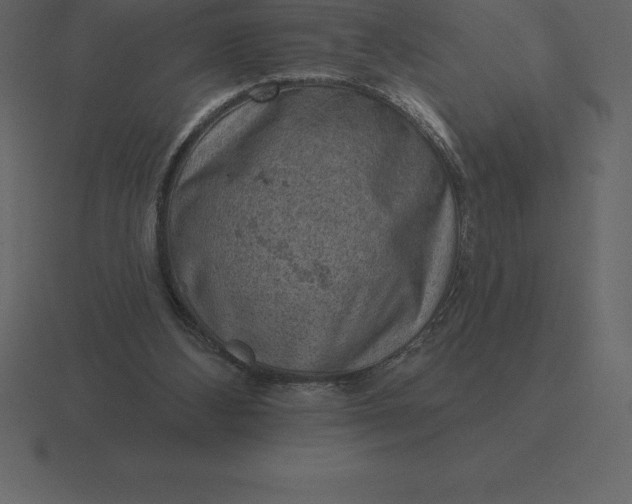 X0000116630108200912241820