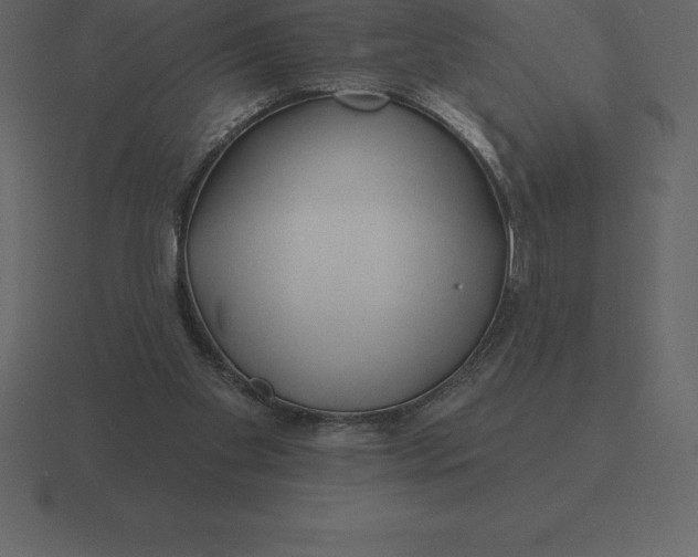 X0000116630109200912241820