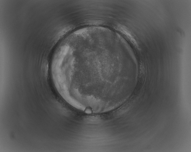 X0000116630110200912241820