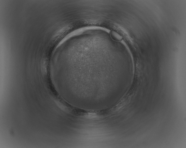 X0000116630114200912241820