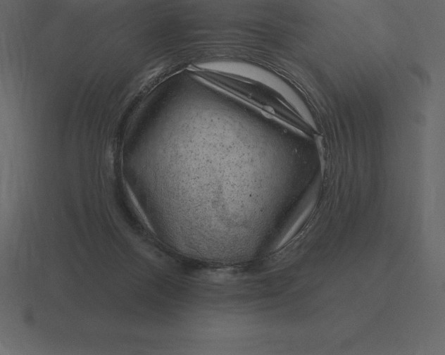 X0000116630120200912241820