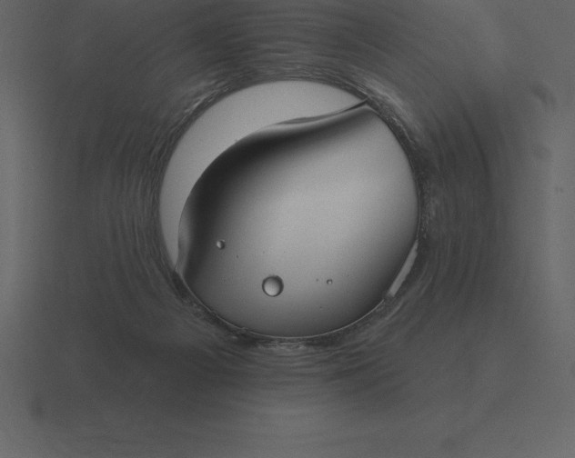 X0000116630121200912241820