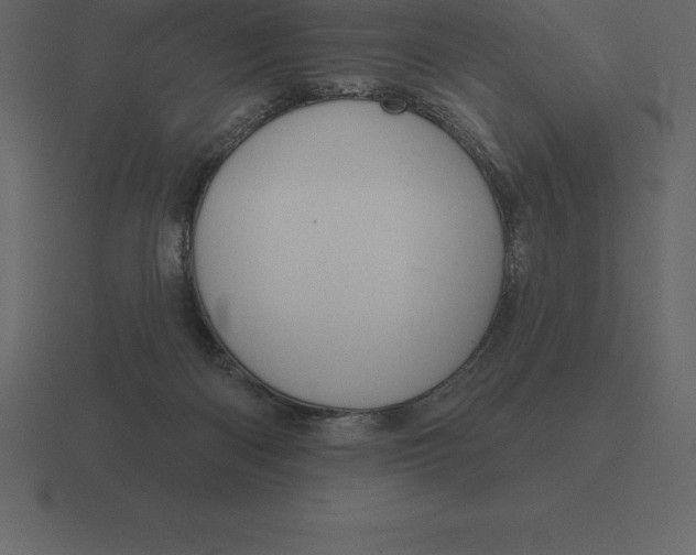 X0000116630122200912241820