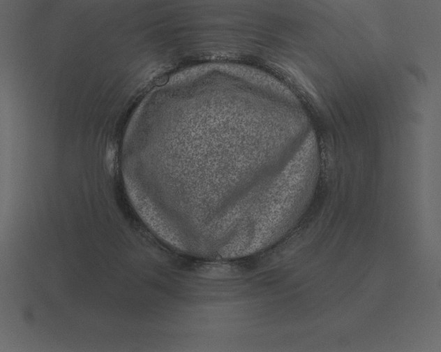 X0000116630123200912241820