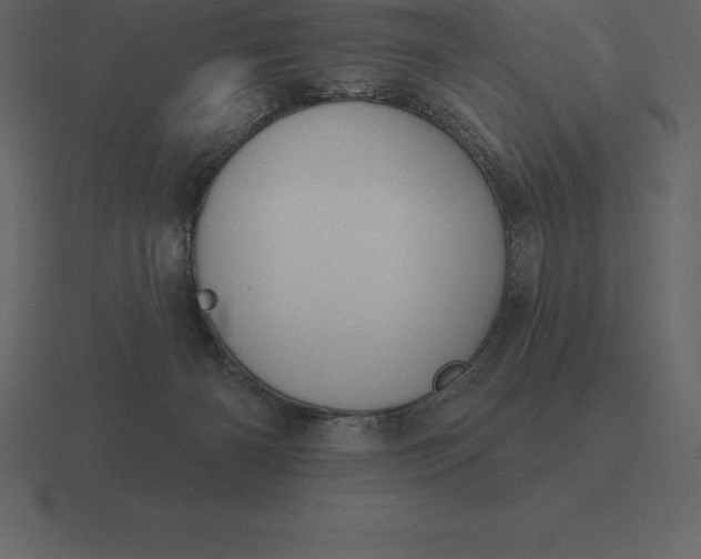 X0000116630126200912241820