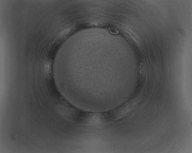 X0000116630127200912241820