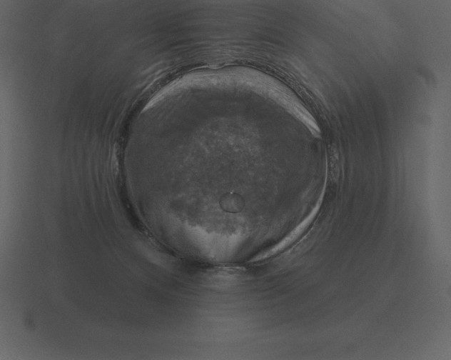 X0000116630128200912241820